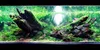 Aquarium Deko Wurzel Dragon Wood S 15-25 cm, natürliche Produktbild-Vorschau 15