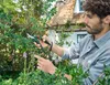 PARKSIDE® Gartenscheren (Bypass) Produktbild-Vorschau 2