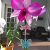 Schmetterlings-Orchideenclips 30 Stück, Pflanzenstielhaken Produktbild-Vorschau 4
