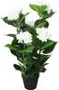 The Living Store Künstliche Hortensie mit Topf 60 cm Weiß Produktbild-Vorschau 1