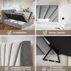 MOTIVENA Aspen Boxspringbett 160x200 Grau Samt (Jasmine Produktbild-Vorschau 4