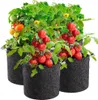 5szt Tkanina doniczkowa 3 galony Torebka do sadzenia Podgląd zdjęcia produktu 1