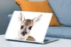 MuchoWow® Laptop Aufkleber Sticker Cover Hirsche - Tiere - Produktbild-Vorschau 4