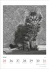 Der poetische Katzenkalender 2027 Produktbild-Vorschau 4