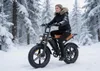 PiXELPiLOT Fatbike E Bike, 20 Zoll E-Bikes 48V 15,6Ah Produktbild-Vorschau 13
