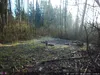 Outdoor Wildlife Hunting Trail und Wildkamera OXE Panther Produktbild-Vorschau 23