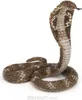 Papo- Figura Cobra Reale 5X5,5X6,6CM, Colore Beige - Anteprima dell’immagine prodotto 12