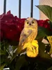 Solar-Gartenlampe - Eule Gardlov 23847 Produktbild-Vorschau 13