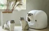 PetKit - P9902 - Katzentoilette Produktbild-Vorschau 27
