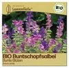 Samenliebe  Buntschopfsalbei Samen | Zierpflanze - bunt - Produktbild-Vorschau 1