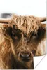 MuchoWow® Poster Schottischer Highlander - Kuh - Gras - Produktbild-Vorschau 1