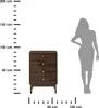 HowHomely | Commode - Commode à tiroirs - 60 x 40 x 90 cm - Voir les images du produit 11