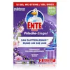 WC Ente Frische-Siegel Lavender 2x36ml WC-Frische (1er Produktbild-Vorschau 4
