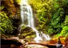 Carta da parati fotografica in tessuto non tessuto cascata Anteprima dell’immagine prodotto 2