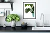 MuchoWow® MuchoWow® Gerahmtes Poster Monsterpflanze im Topf Produktbild-Vorschau 4
