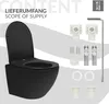 A black wall-mounted toilet with its included accessories, presented against a light gray background with abstract wavy lines. Podgląd zdjęcia produktu