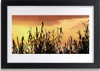 Bild 30x20 MDF-Rahmen Wandkunst Blätter West Meadow Feld Produktbild-Vorschau 1