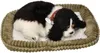 Perfect Petzzz 96422 Kokršpaněl Náhled obrázku produktu 3