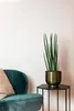 Umelá rastlina Sansevieria Cylindrica Ø70cm - umelá zelená Náhľad obrázku produktu 3