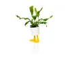 Entenfüße Mini Blumentopf aus Porzellan Produktbild-Vorschau 4
