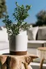 Prosperplast s.r.o. Vaso da fiori TUBO PM 17,8 cm, bianco Anteprima dell’immagine prodotto 14