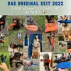 GIZZY® Futterdummy für Hunde blau – Robuster Produktbild-Vorschau 6