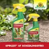 Neudorff Spruzit AF Schädlingsfrei 250ml bekämpft Eier, Produktbild-Vorschau 6