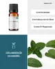 Krauseminze (10ml) - naturreines, ätherisches Öl von Produktbild-Vorschau 2