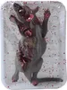 Guirca Rattentablett 19x12 Cm One Size Voir les images du produit 1