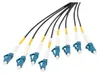 Câble de dérivation DIGITUS 8 fibres SM G.657.A1 Voir les images du produit 1