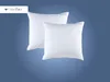 Häussling Traumulus 2er Kopfkissen-Set 80x80 cm | Produktbild-Vorschau 2