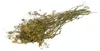 JR Farm Ein Stück Natur Dill-Ernte 80g Produktbild-Vorschau 3