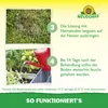Neudorff Nützlinge gegen Ameisen – 10 Mio. SF-Nematoden Produktbild-Vorschau 6