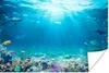 MuchoWow® Poster Unterwasserwelt - Meerestiere - Wasser - Produktbild-Vorschau 1