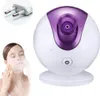 Gesichtsdampfer，Professional Nano Ionic Gesicht Produktbild-Vorschau 1