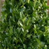 2x Ilex Jenny Pyramid P21 H80 Produktbild-Vorschau 3