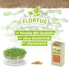 Artikelbild 9 von 'BIO Keimsprossen Kresse' aus der Kategorie Keimsprossen Produktbild-Vorschau