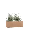 PFLANZWERK® Pflanzkübel TUB 50cm TERRAKOTTA Fensterbank Produktbild-Vorschau 1