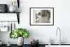 MuchoWow® MuchoWow® Gerahmtes Poster Katze - Tier - Produktbild-Vorschau 4