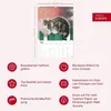 Katzen Kalender 2027 Produktbild-Vorschau 6