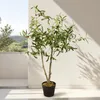 Künstlicher Olivenbaum ca. 105 cm im Blumentopf Produktbild-Vorschau 6