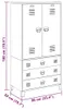 vidaXL Priemyselná šatníková skriňa antracit 90x50x180 cm Náhľad obrázku produktu 7