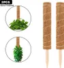 2 Stück 50 cm Kokosfaser-Moosstangen, Pflanzenstützen, Produktbild-Vorschau 5