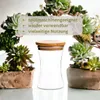 gouveo 3er Set Vorratsdose 265 ml konkav aus Produktbild-Vorschau 3