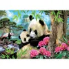 Educa Morning Panda, 1000 kusov, Zvierat, 12 rok / roky Náhľad obrázku produktu 2