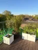 Elegant Einrichten | Pflanzkübel | Fiberglas | rechteckig | Produktbild-Vorschau 2
