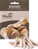 Hawlik Pilzbrut Shiitake Dübel – 20 Pilzdübel, Pilze Produktbild-Vorschau 7