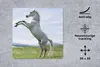 MuchoWow® Mauspad Mousepad Pferd - Aufzucht - Natur 30x30 Produktbild-Vorschau 2