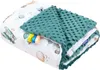 Balloon Travel & Emerald Minky Babydecke 75x100cm Produktbild-Vorschau 2