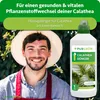 Purgrün Calathea-Dünger 1 Liter Produktbild-Vorschau 2